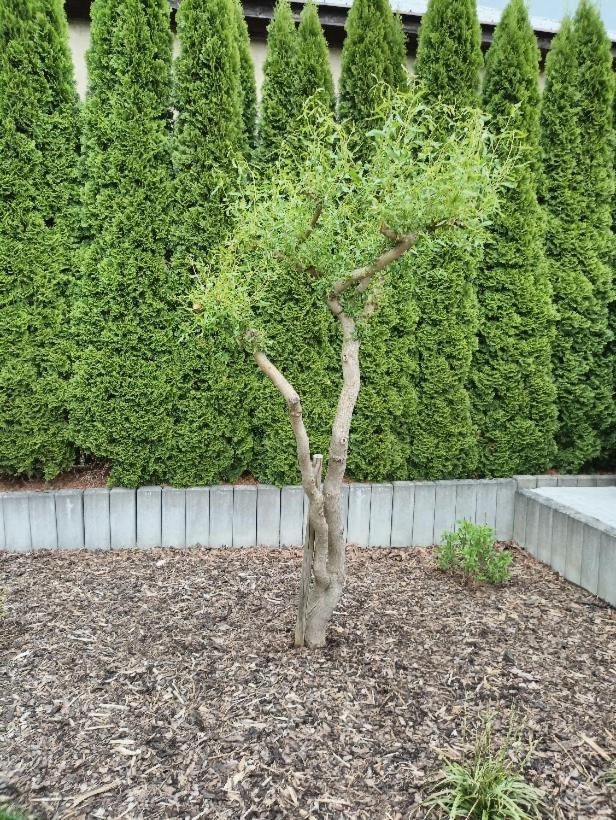Ubytování U Vrbičky - blízko Prahy Unhošť Exterior foto